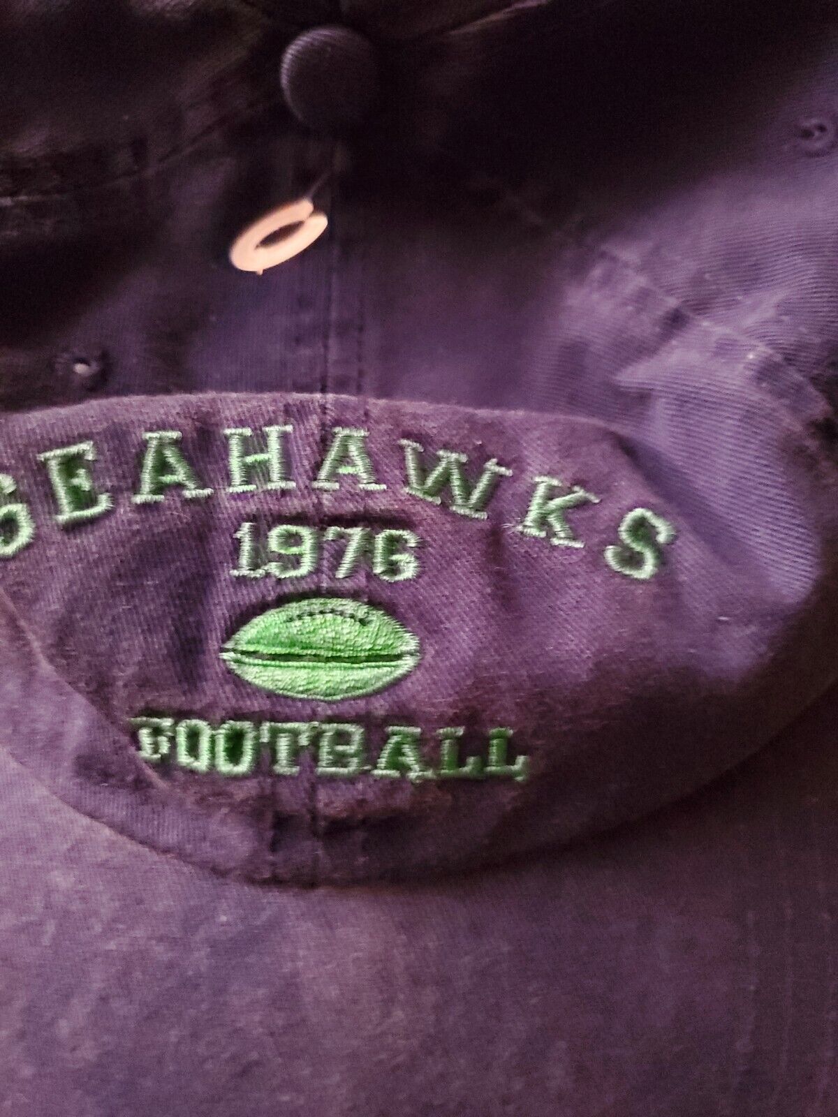 Vintage Puma NFL Seahaks 1976 Football Blue Cap