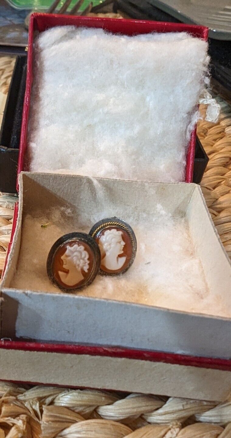 Vntg Ditta Giovanni Apa Italy Hand Carved Cameo 925 Earrings In Original Box