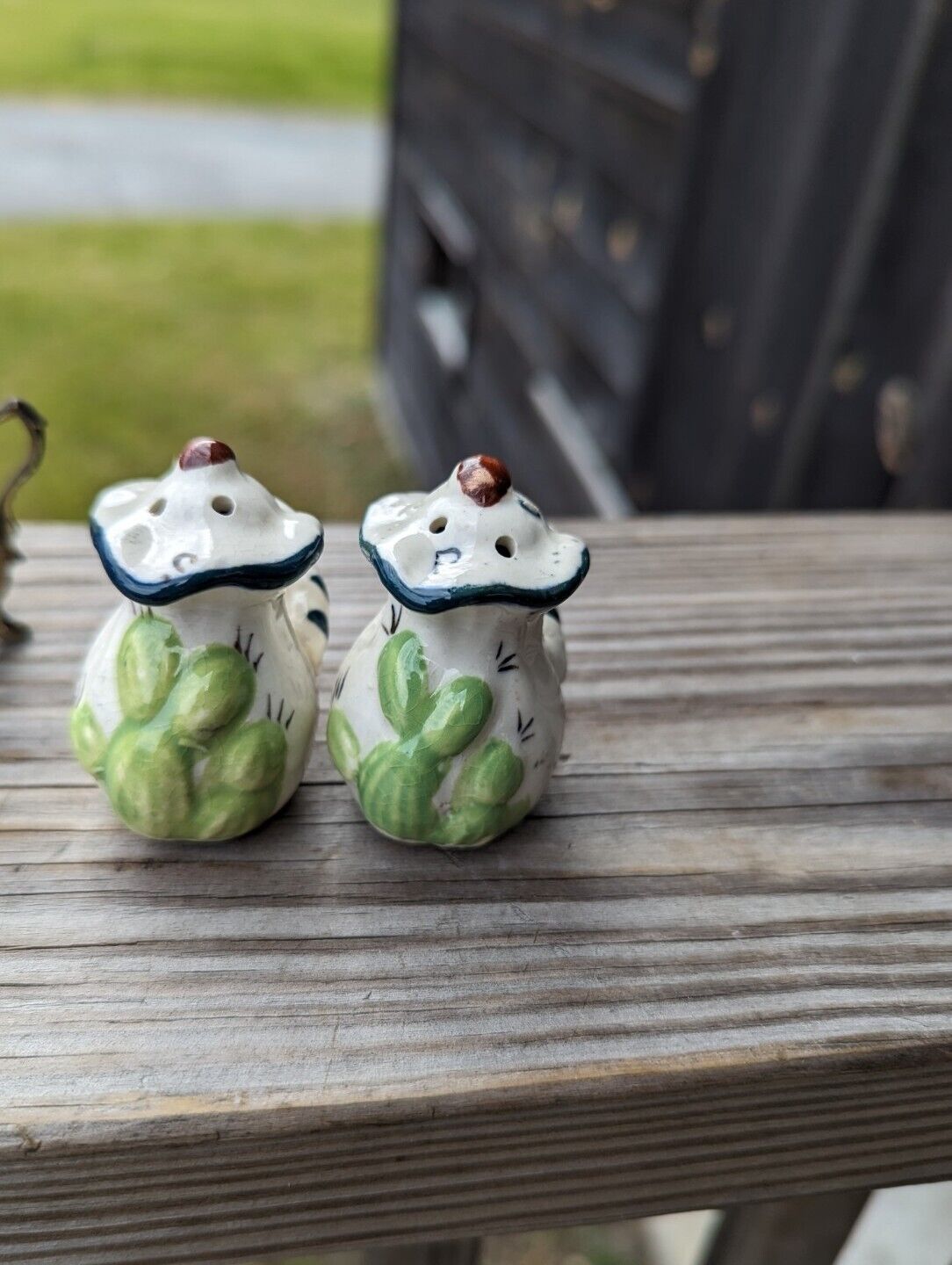 Salt & Pepper Shakers Cactus Vintage Ceramic Salt and Pepper Shakers Japan