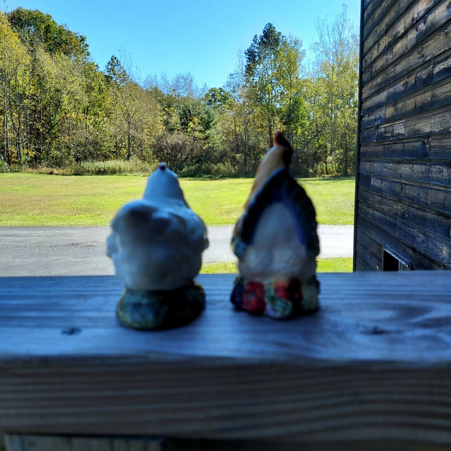 Vintage Rooster And Hen Porcelain Salt And Pepper Shakers