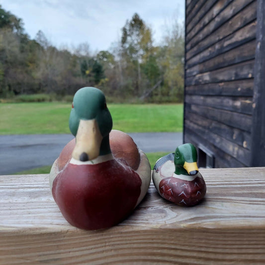 Mallard Ducks By Andrea