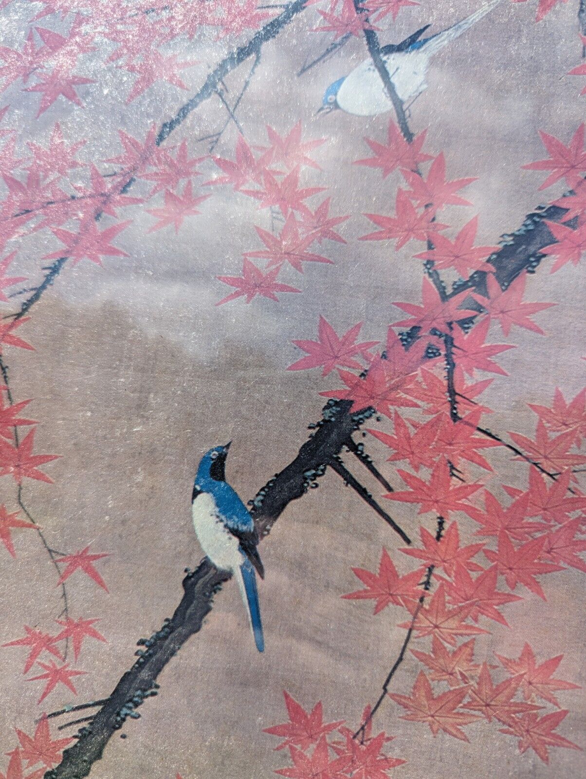 Framed And Glassed Maple Tree and Small Birds, Colorful Realm Ito Jakuchu Print