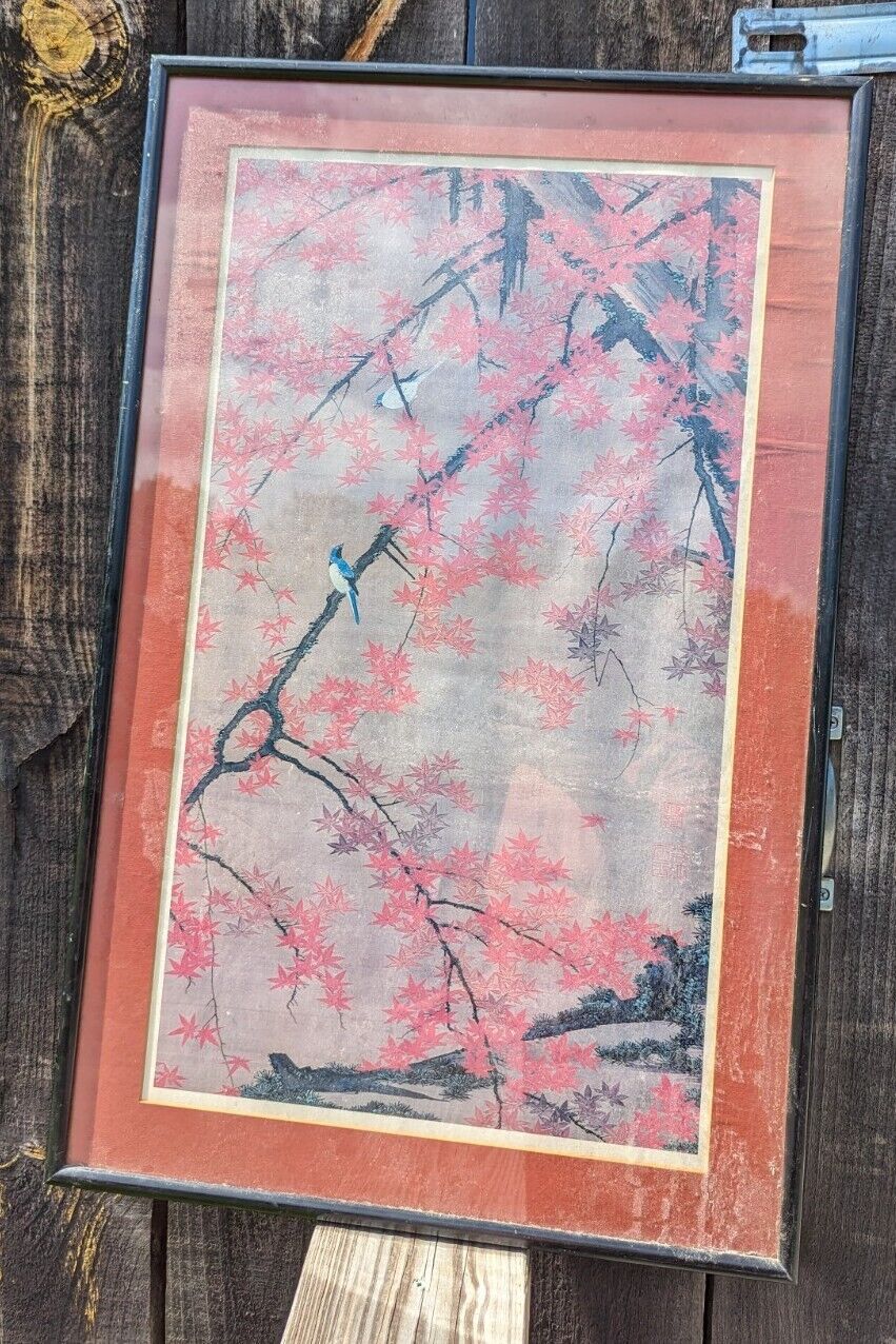 Framed And Glassed Maple Tree and Small Birds, Colorful Realm Ito Jakuchu Print