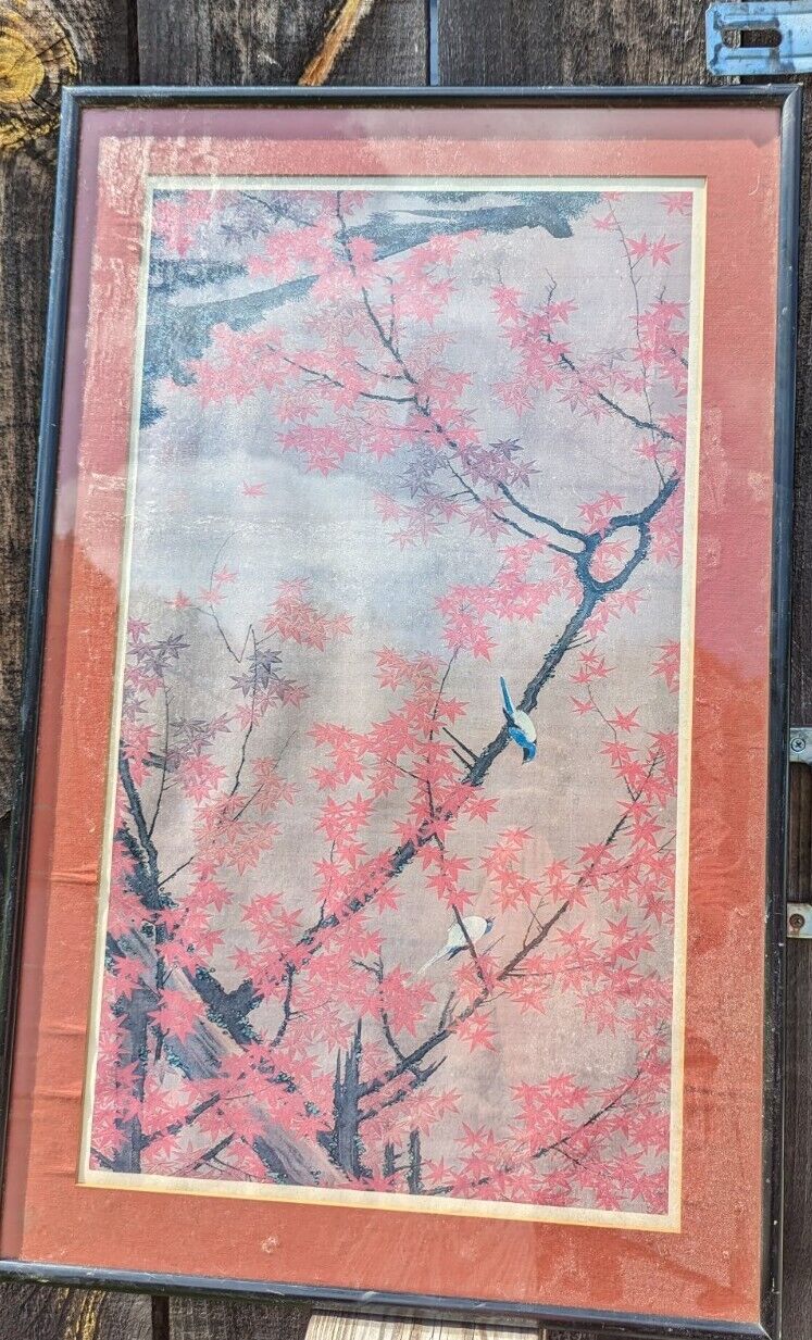 Framed And Glassed Maple Tree and Small Birds, Colorful Realm Ito Jakuchu Print