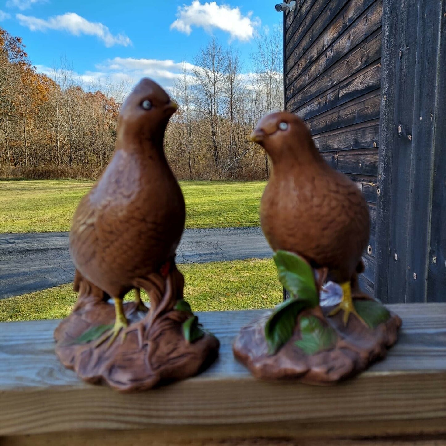 Holland Mold Quail Female Male Vintage Ceramic 1970 Birds Pleasant 6'' Figurine