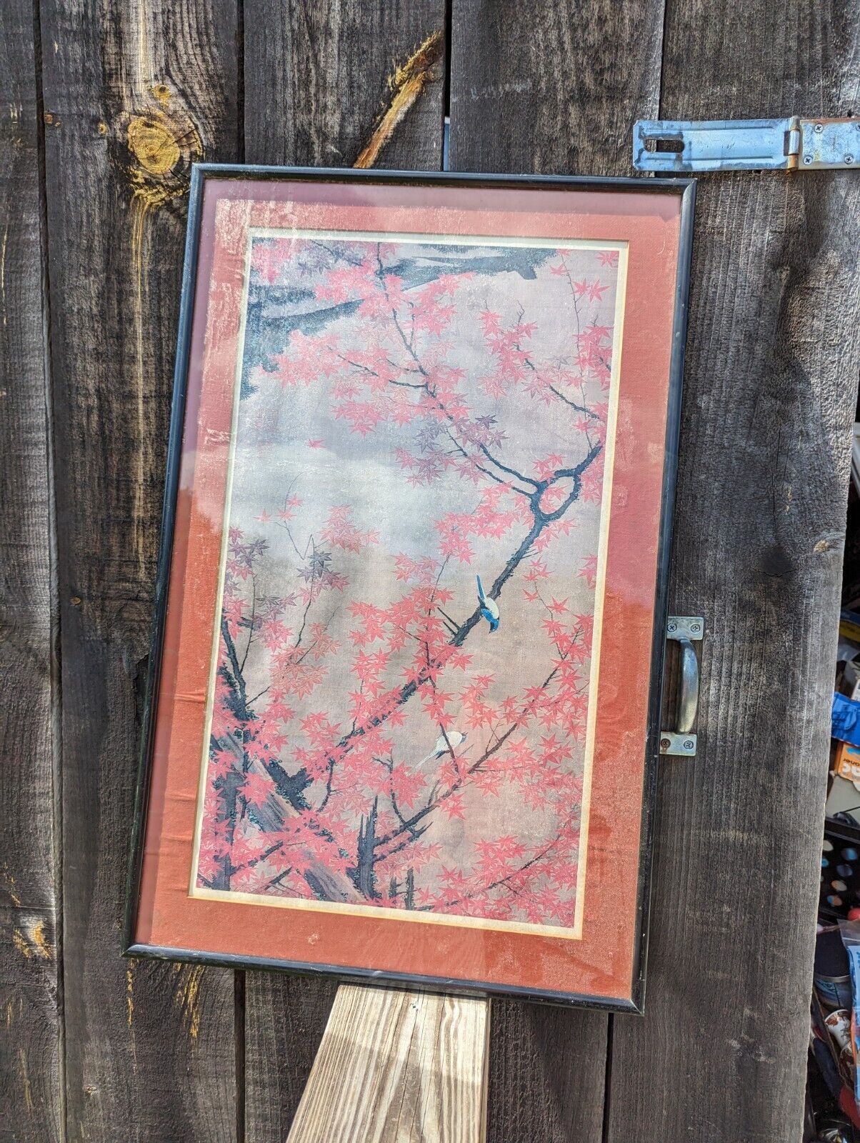 Framed And Glassed Maple Tree and Small Birds, Colorful Realm Ito Jakuchu Print