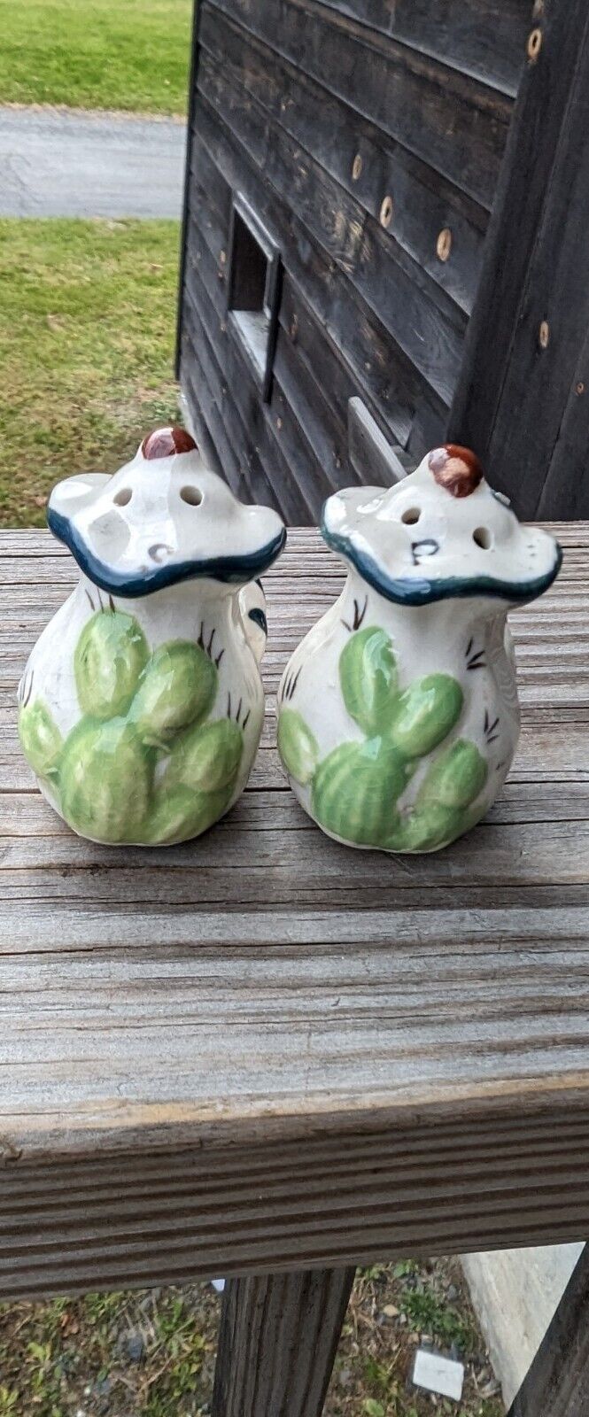 Salt & Pepper Shakers Cactus Vintage Ceramic Salt and Pepper Shakers Japan