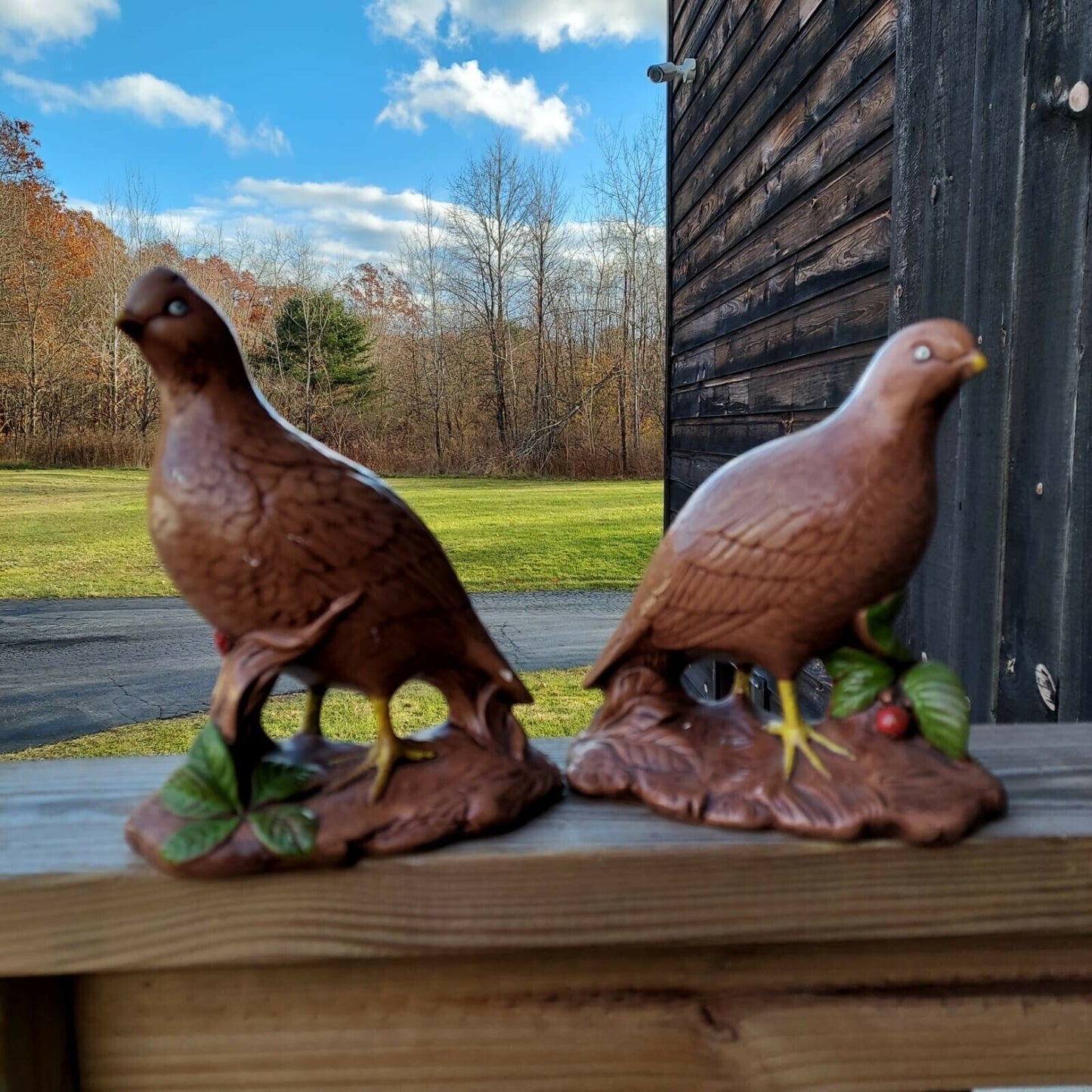 Holland Mold Quail Female Male Vintage Ceramic 1970 Birds Pleasant 6'' Figurine