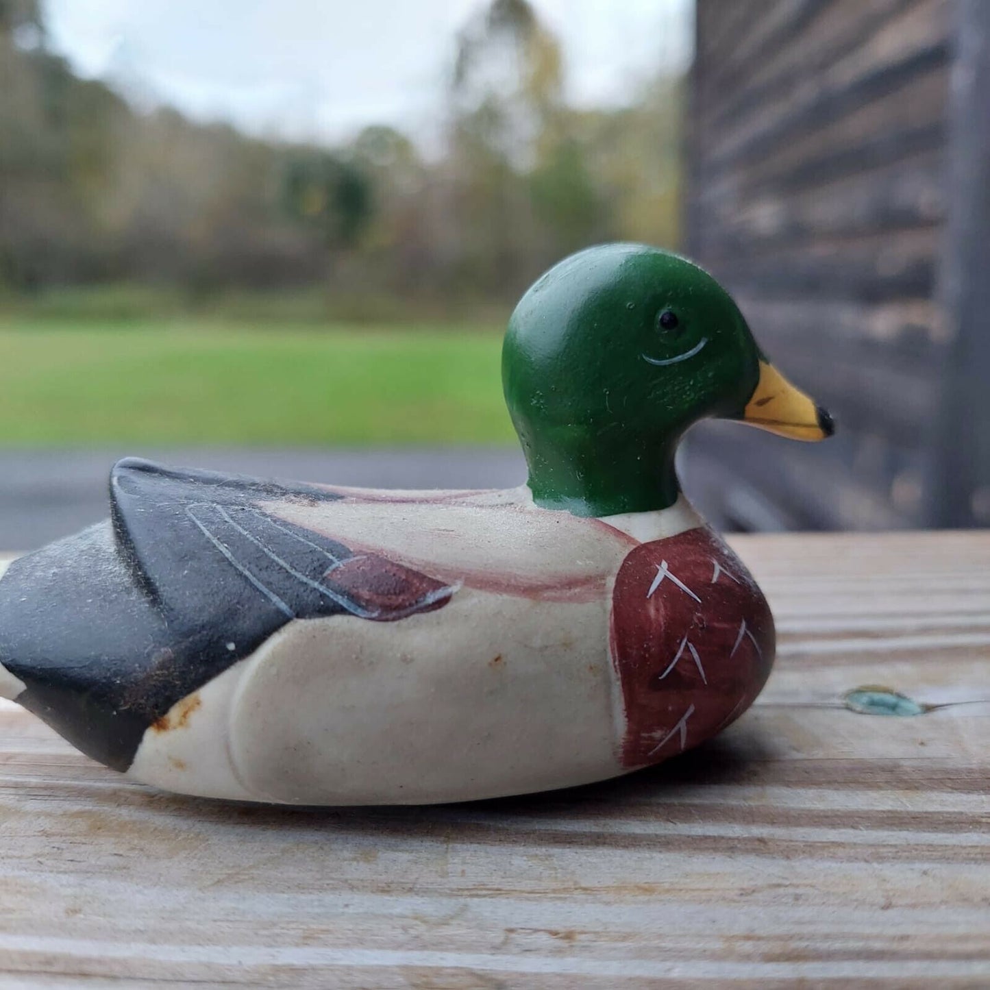 Mallard Ducks By Andrea