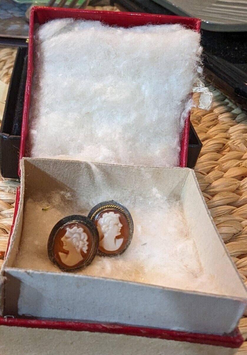 Vntg Ditta Giovanni Apa Italy Hand Carved Cameo 925  Earrings In Original Box