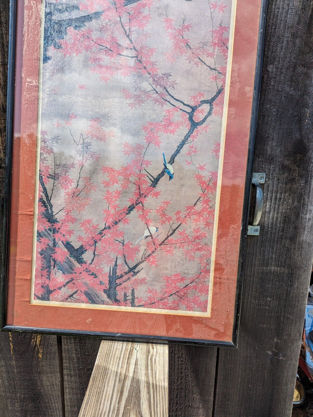 Framed And Glassed Maple Tree and Small Birds, Colorful Realm Ito Jakuchu Print