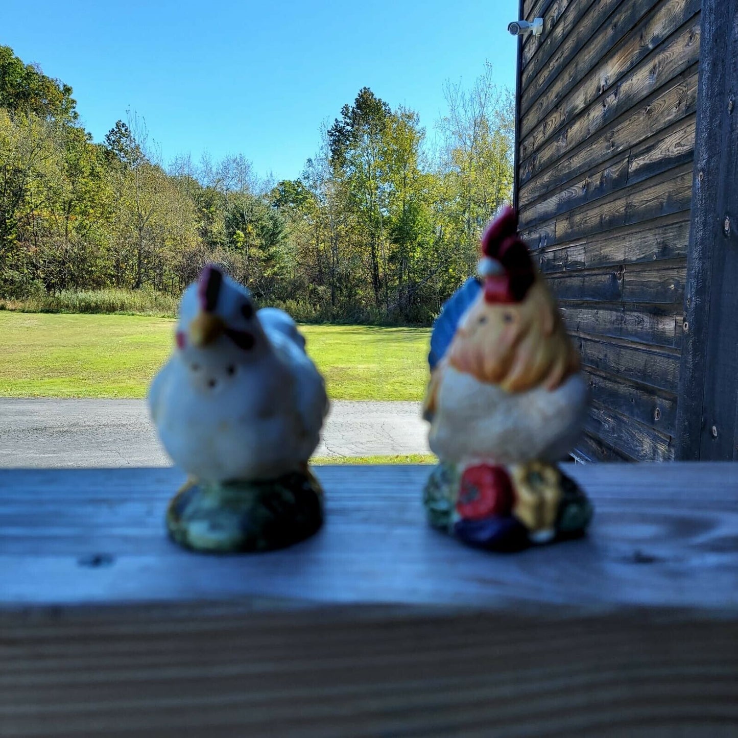 Vintage Rooster And Hen Porcelain Salt And Pepper Shakers