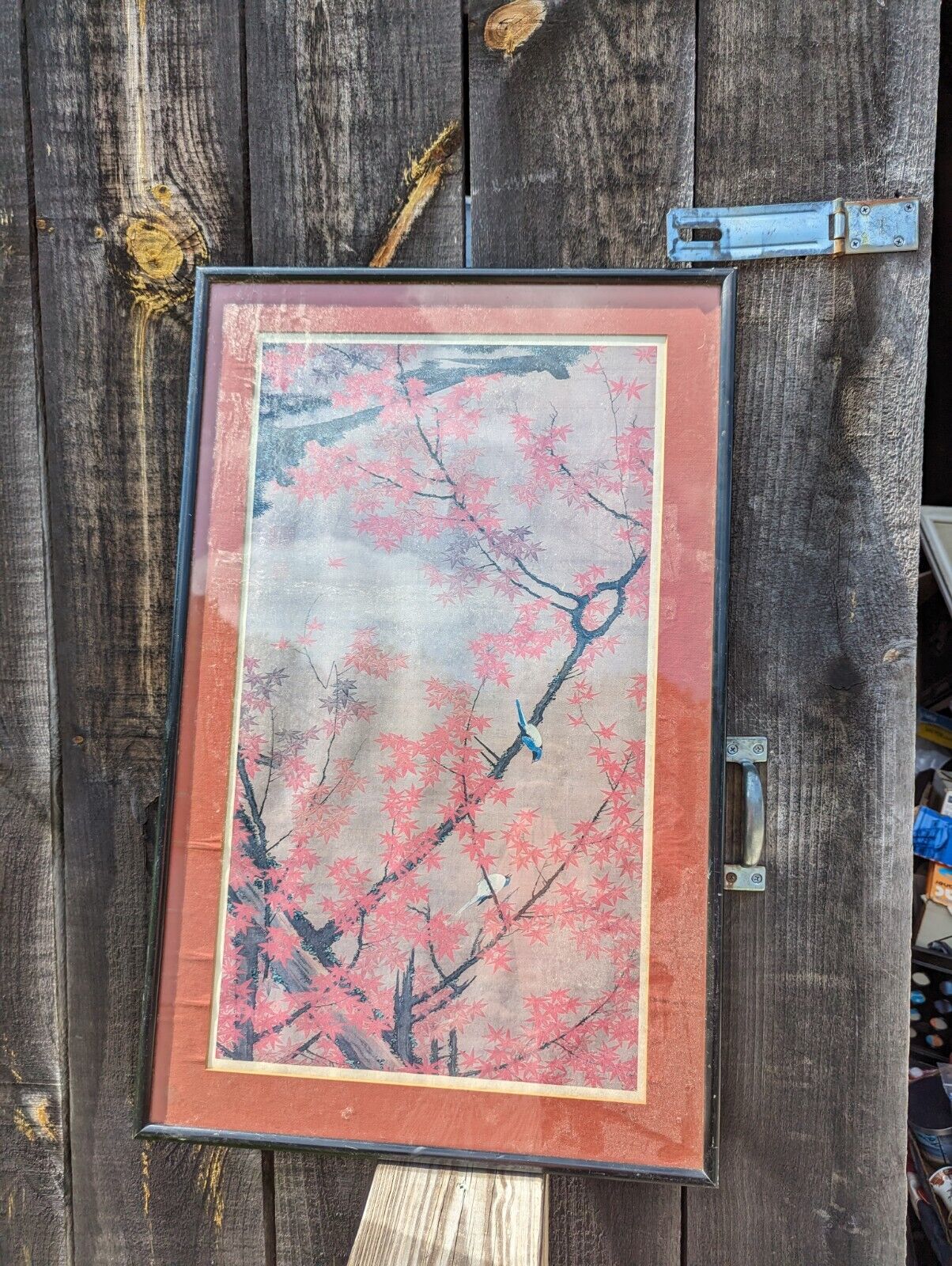 Framed And Glassed Maple Tree and Small Birds, Colorful Realm Ito Jakuchu Print