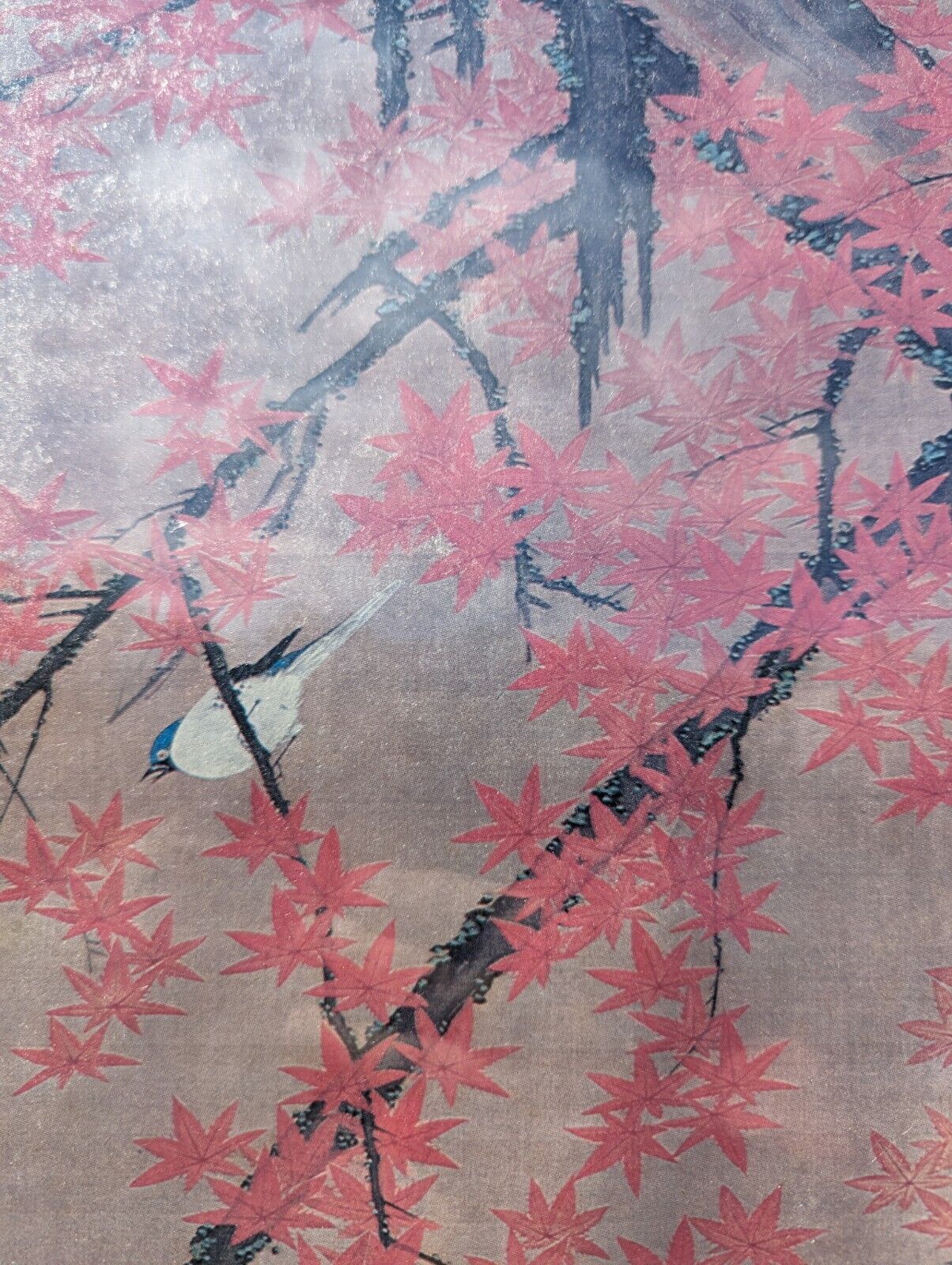 Framed And Glassed Maple Tree and Small Birds, Colorful Realm Ito Jakuchu Print