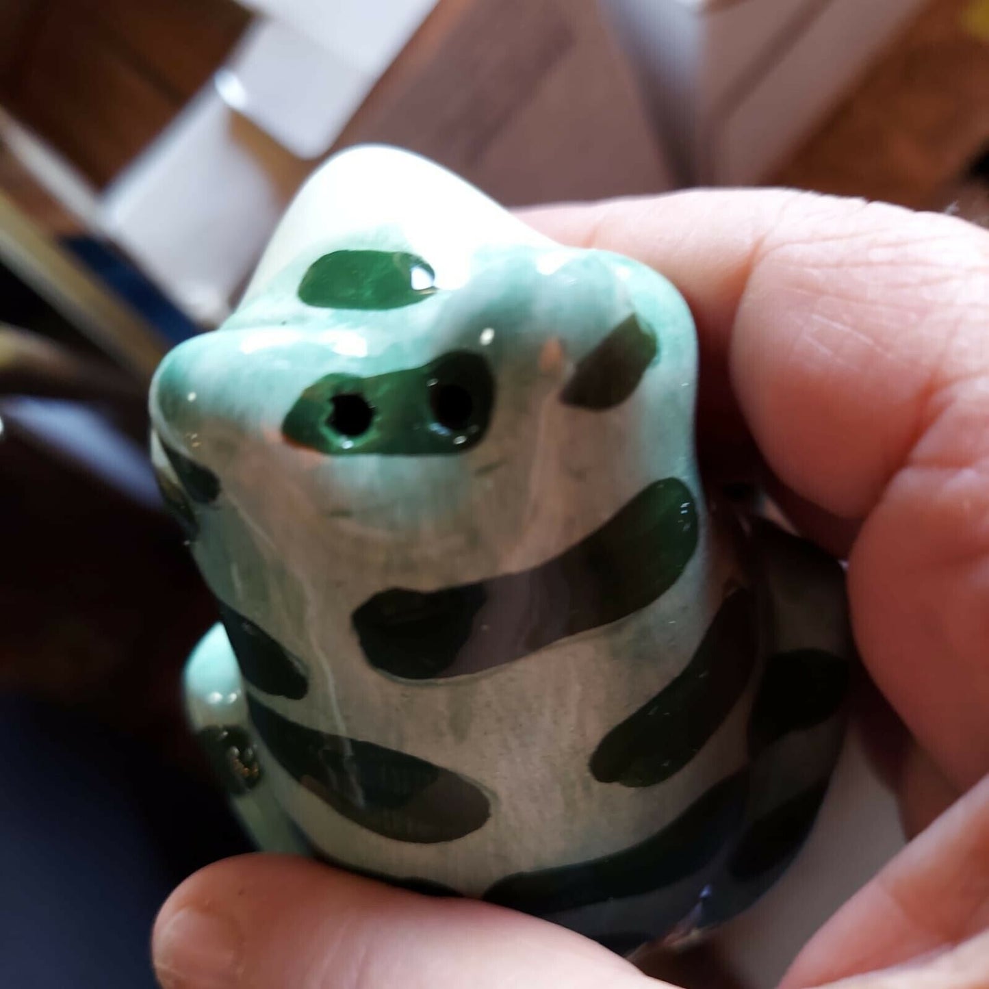 Earthware Frog Salt And Pepper Shakers set