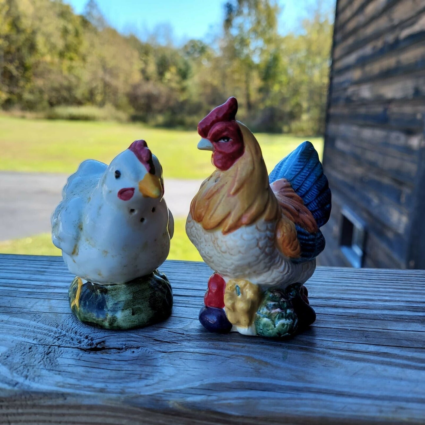 Vintage Rooster And Hen Porcelain Salt And Pepper Shakers