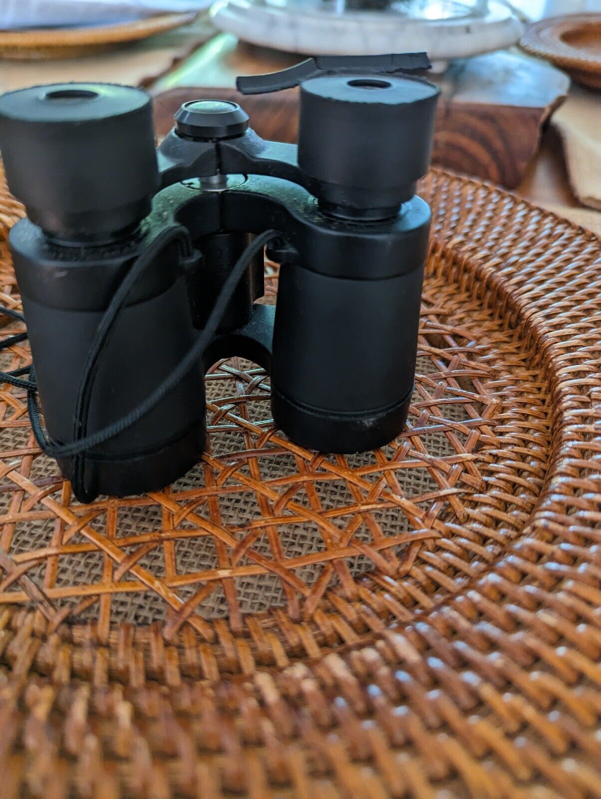 Bushnell Insta Focus 4x30 Power View Binoculars with Case Compact Pocket Size